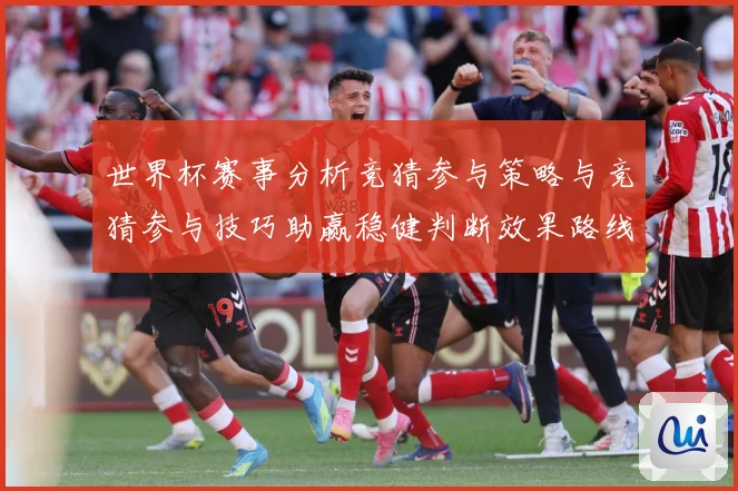 世界杯赛事分析竞猜参与策略与竞猜参与技巧助赢稳健判断效果路线数据研判-深度解析