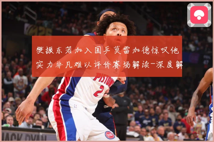 樊振东若加入国乒莫雷加德惊叹他实力非凡难以评价赛场解读-深度解析