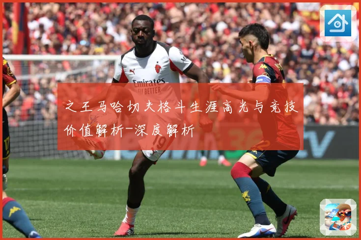 之王马哈切夫格斗生涯高光与竞技价值解析-深度解析