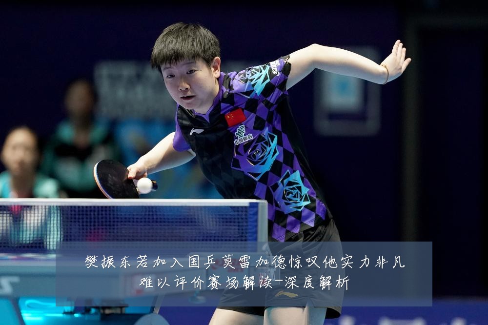樊振东若加入国乒莫雷加德惊叹他实力非凡难以评价赛场解读-深度解析