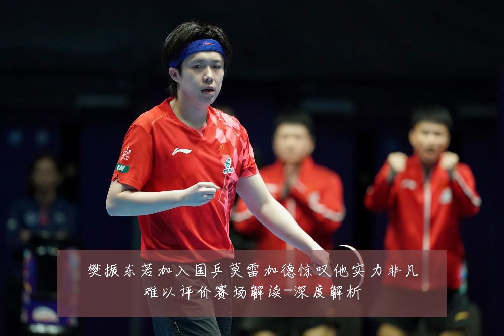 樊振东若加入国乒莫雷加德惊叹他实力非凡难以评价赛场解读-深度解析